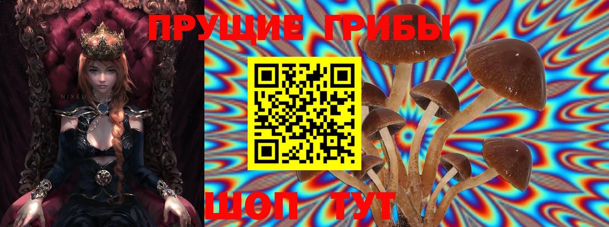 Псилоцибиновые грибы MAGIC MUSHROOMS Кохма